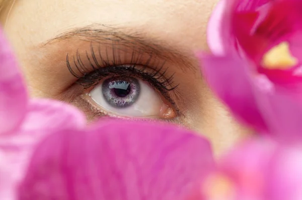 Beauty eye — Stock Photo, Image