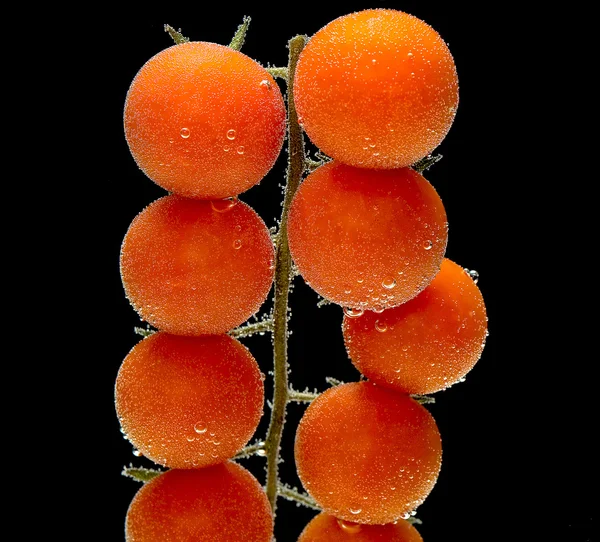 宏番茄 — 图库照片