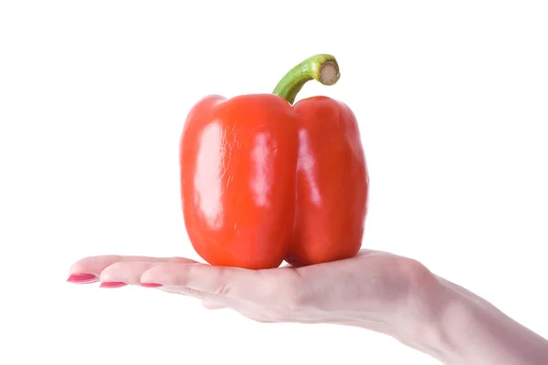 Pepper in hand on a white backgroind — Stock Photo, Image