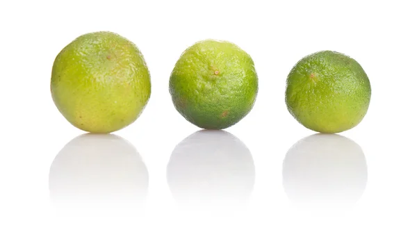 stock image Three lime