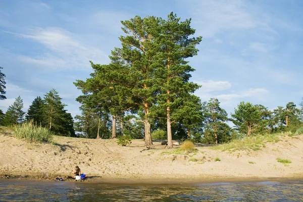 stock image Landscape - Pine, Lake, forest, Rock.