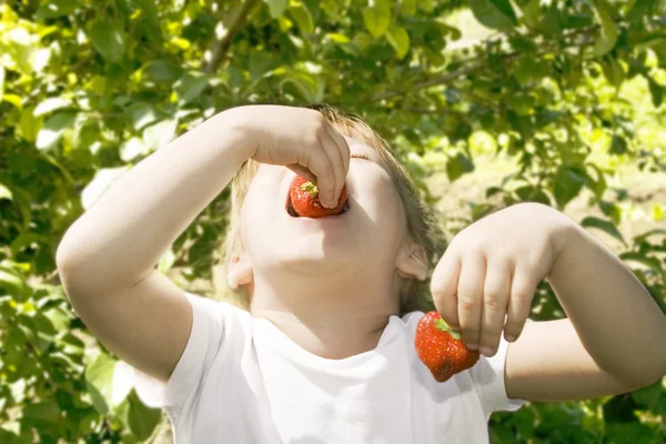 Flickan äta jordgubbar. — Stockfoto
