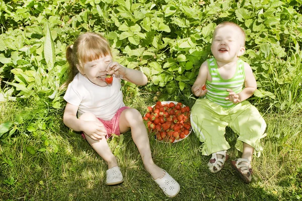 Kind isst Erdbeeren. — Stockfoto