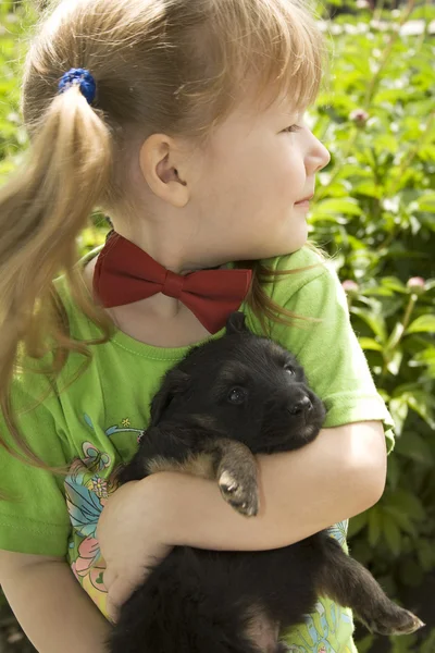 Kızla köpek yavrusu — Stok fotoğraf