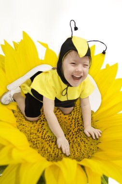 Honey Bee clipart