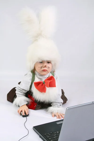 Clever Bunny — Stock Photo, Image