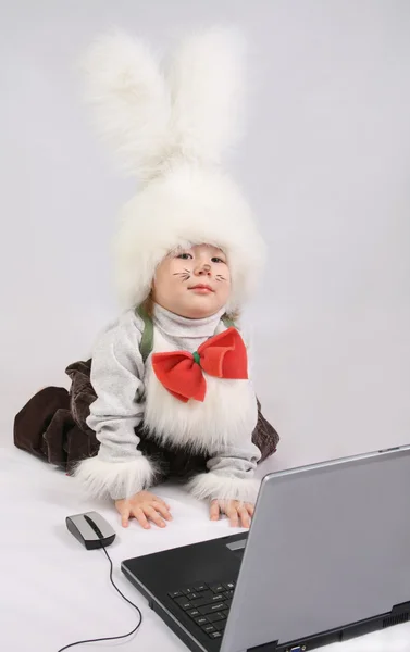 Clever Bunny — Stock Photo, Image