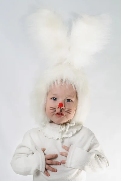 Tavşancık — Stok fotoğraf