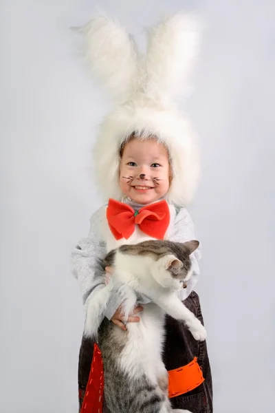 Kočka a králík — Stock fotografie