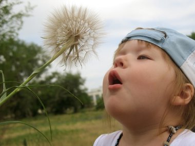 Little girl blowing dandelion seeds clipart