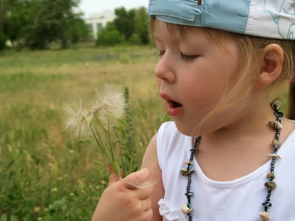 Маленька дівчинка дме насіння кульбаби — стокове фото