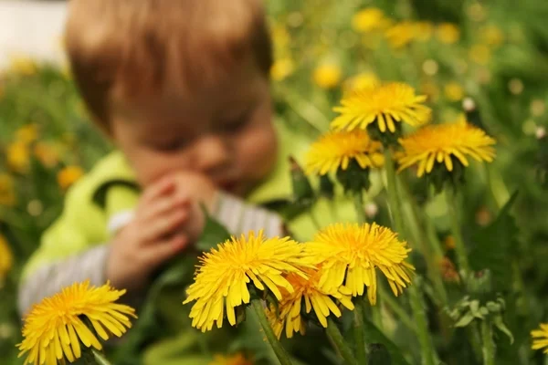 Child with the dandelion — Stock Photo, Image