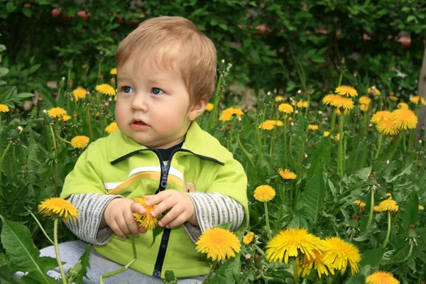 Child with the dandelion — Stock Photo, Image