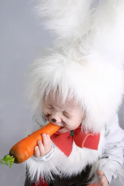 Bunny eat the carrot. — Stock Photo, Image