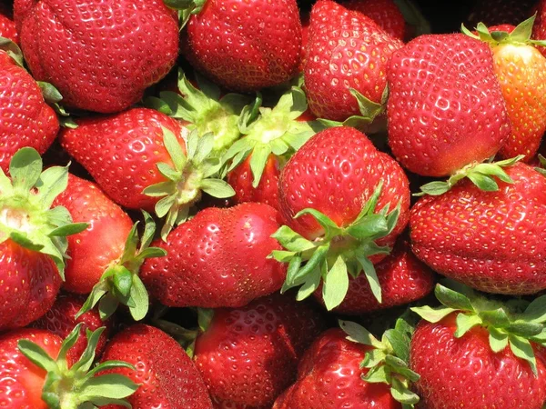 Stock image Strawberry