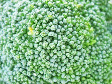 brokoli