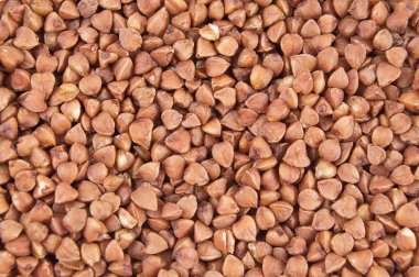 Buckwheat groats clipart