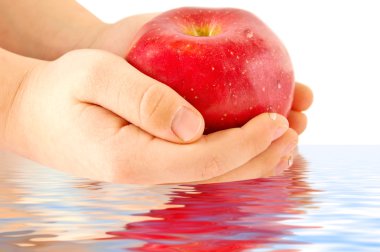 Apple in hands clipart