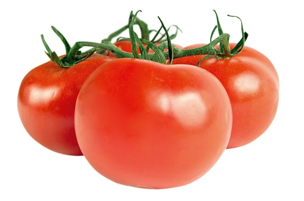 Tomates rojos — Foto de Stock