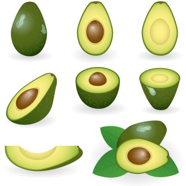 Avocado clipart