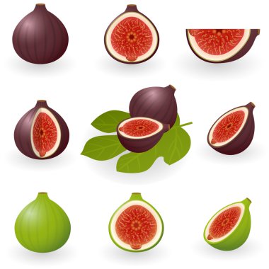 Figs clipart