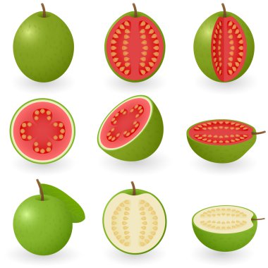 Guava clipart