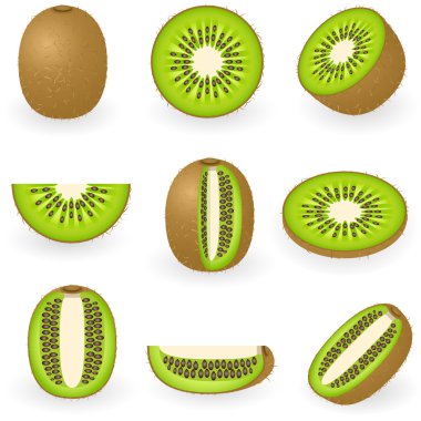 Kiwi clipart