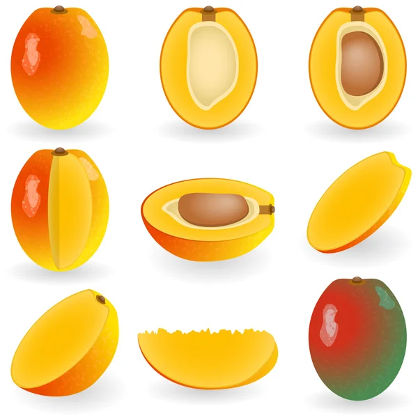 Mango — Vettoriale Stock