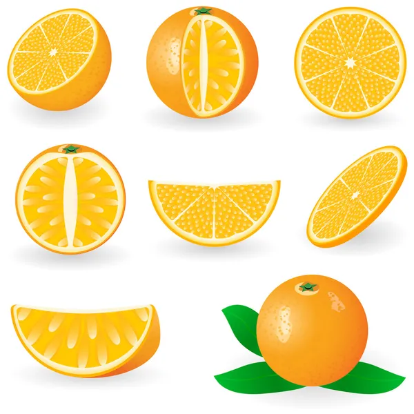 Apelsiner — Stock vektor