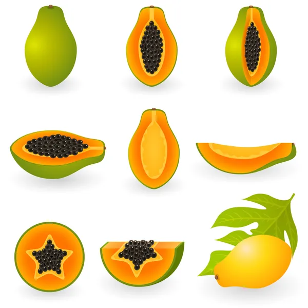 Papaye — Image vectorielle