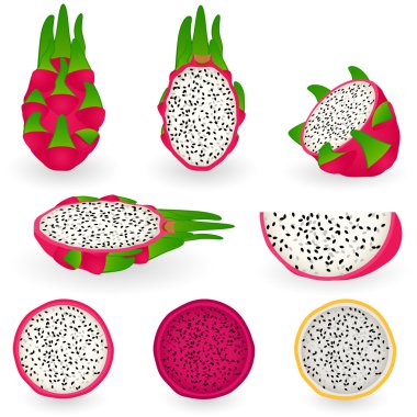 Dragon fruit clipart