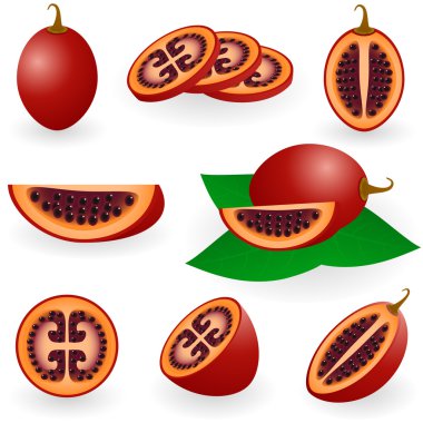 Tamarillo clipart