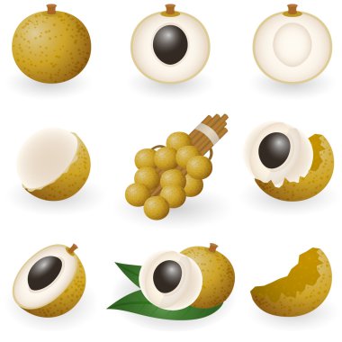 Longan clipart