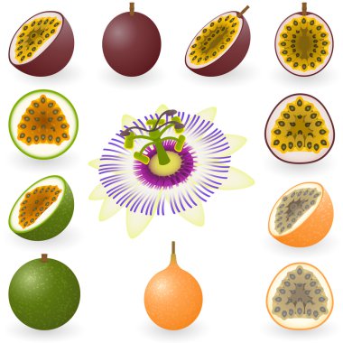 Passion fruit clipart