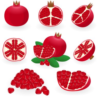 Pomegranate clipart