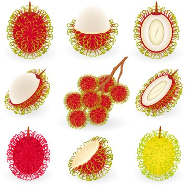 Rambutan