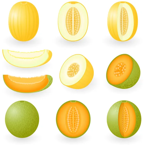 Melone — Vettoriale Stock