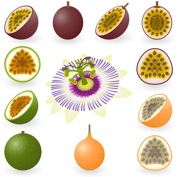 Fruits de la passion — Image vectorielle