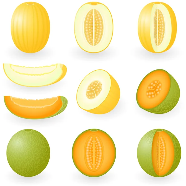 Melon — Image vectorielle