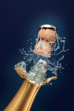 Champagne clipart