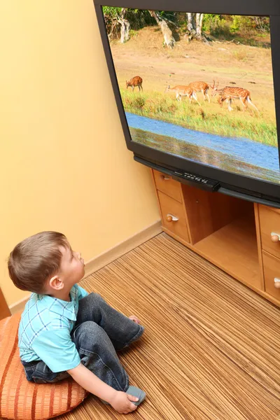 Malý chlapec kouká na televizi — Stock fotografie