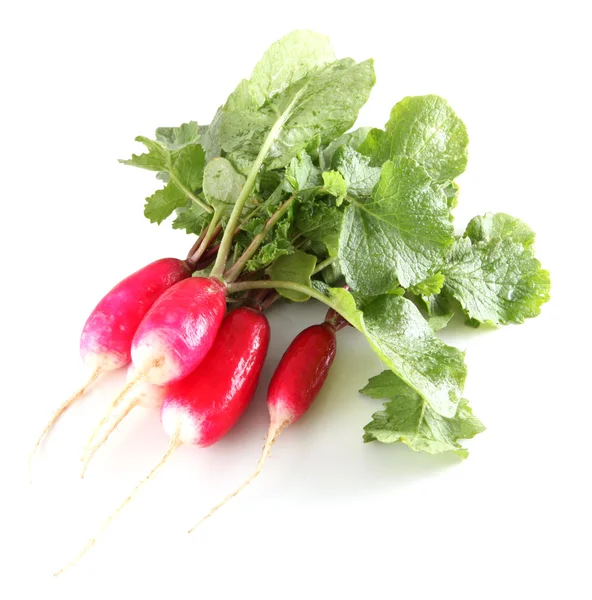 Stock image Garden radish