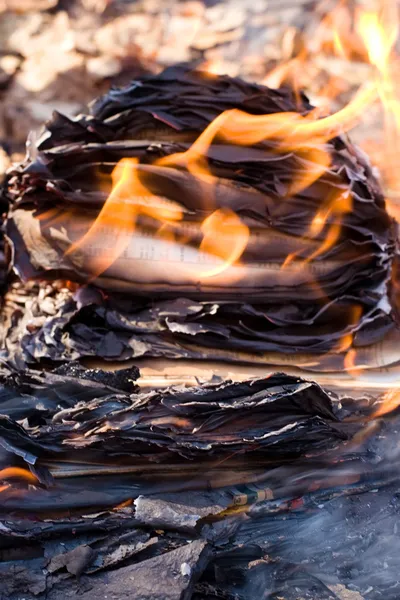 stock image Burning paper