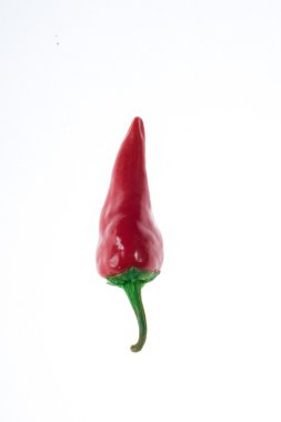 Red chilies clipart