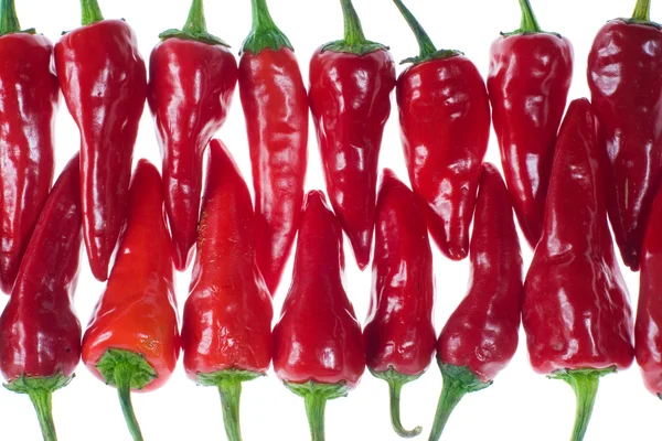 Chiles rojos — Foto de Stock