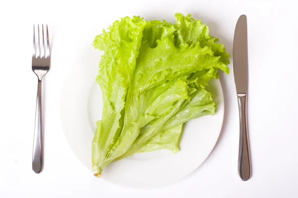 Πράσινη σαλάτα, στο άσπρο πιάτο — Φωτογραφία Αρχείου
