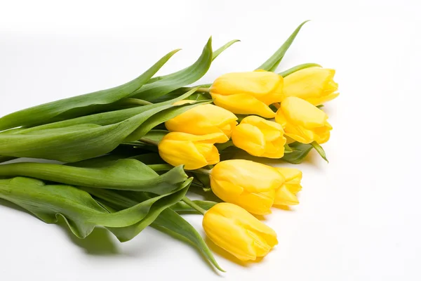 弹簧黄色郁金香花束 — 图库照片