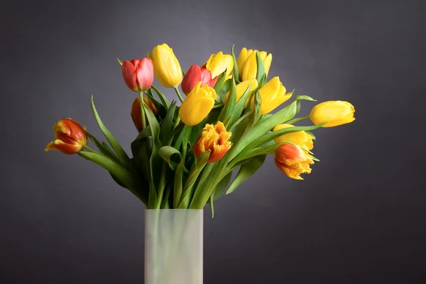 Bouquet of spring yellow tulips — Stock Photo, Image