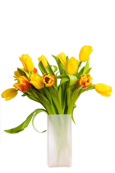 Kytice jarní žluté tulipány — Stock fotografie