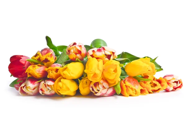 Bouquet of spring yellow tulips — Stock Photo, Image